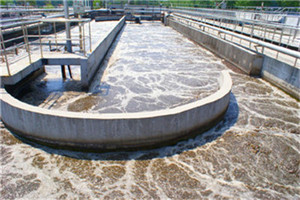 養殖業污水氨氮處理案例